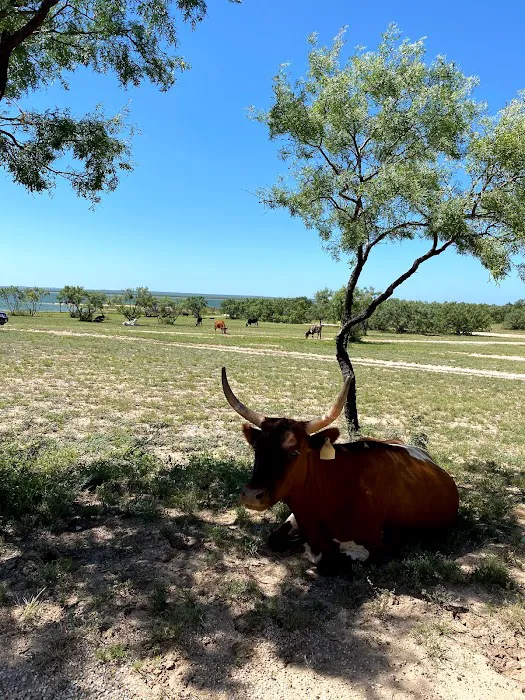 Lakeview Rv park San Angelo tx 8