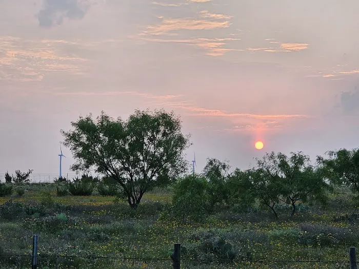 Lone Star RV Park 5