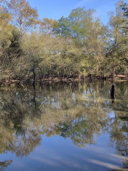 Mystic Springs Cove Inc 2