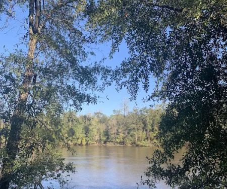 Mystic Springs Cove Inc