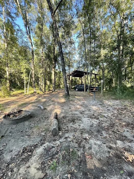 Mystic Springs Free Campground 3