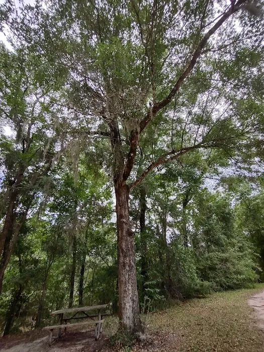 Mystic Springs Free Campground 8