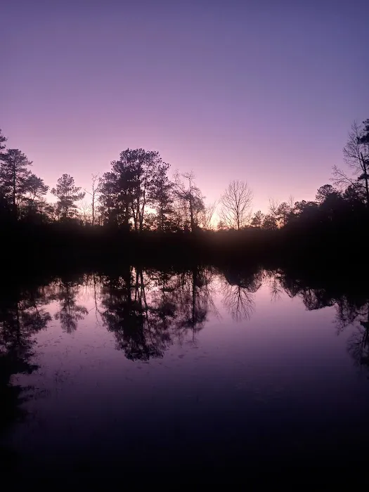 Bluff Springs Recreation Area 2