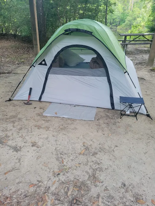Bluff Springs Recreation Area 8