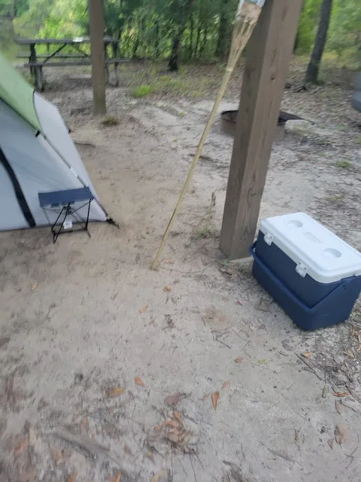 Bluff Springs Recreation Area 7