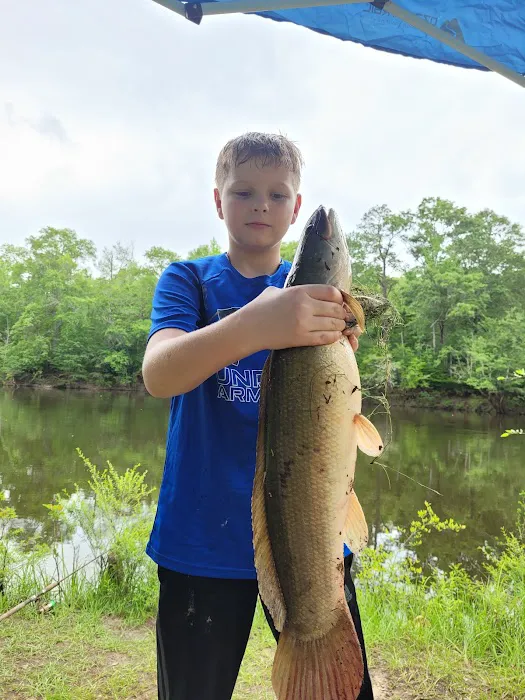 Bluff Springs Recreation Area 6