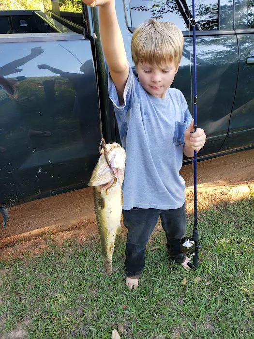 Bluff Springs Recreation Area 10