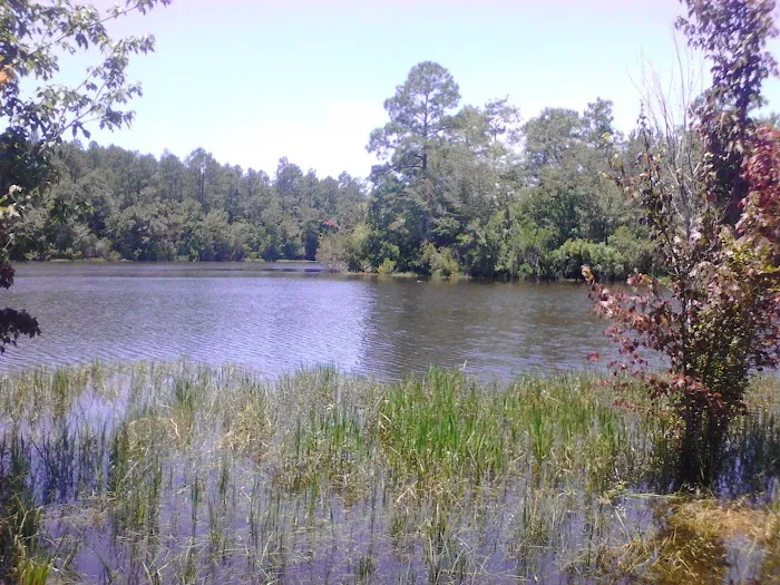 Escambia County Lake Stone Campground 5