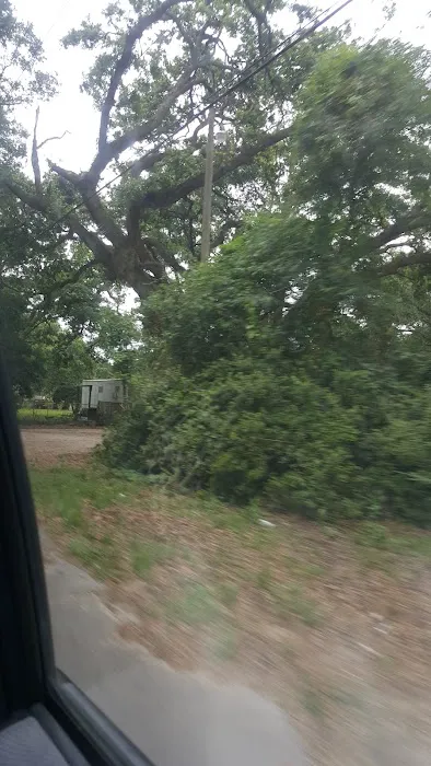 Sorensen Mobile Homes 9