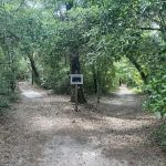 Swamp House RV Park & Marina