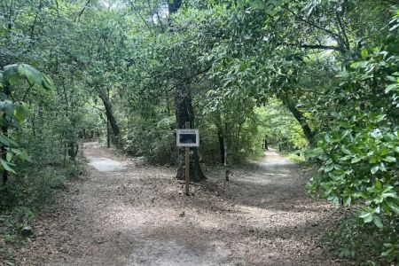 Swamp House RV Park & Marina