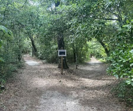 Swamp House RV Park & Marina