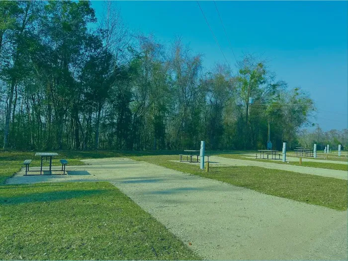 Swamp House RV Park & Marina 7