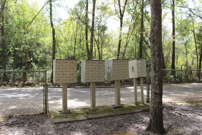 Wandering Oaks RV Park 2
