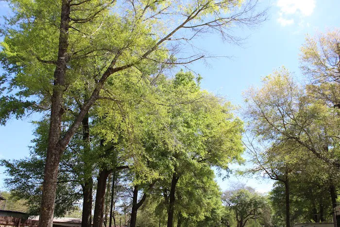Wandering Oaks RV Park 3