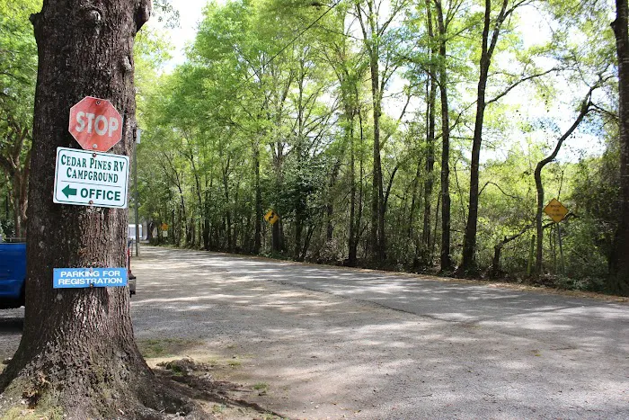 Wandering Oaks RV Park 6