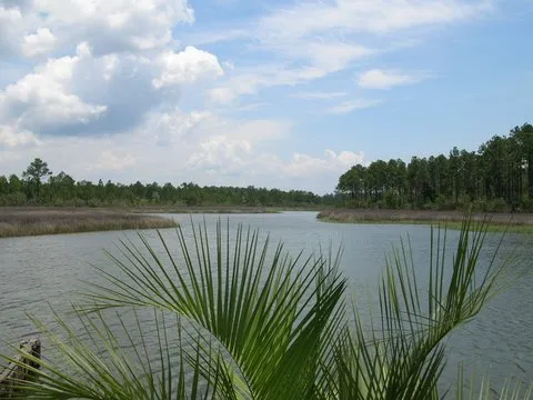 Avalon Landing RV Park Pensacola 5