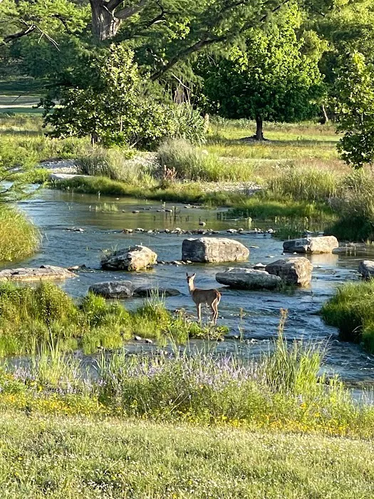 HTR TX Hill Country Campground 9