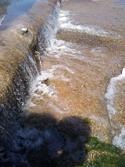 Riverside RV Park 8