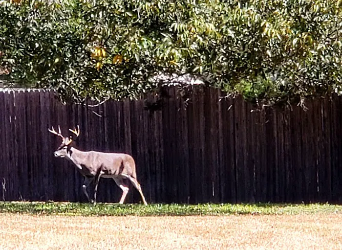 Ingram Lake RV Park 3