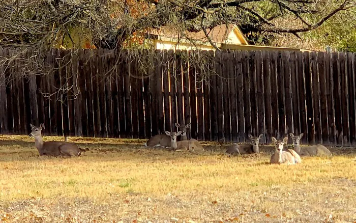 Ingram Lake RV Park 4