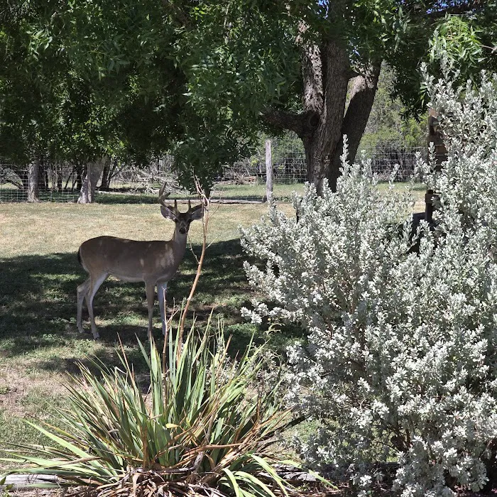 Ingram Lake RV Park 6