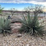 Bar J Hitchin' Post RV Park