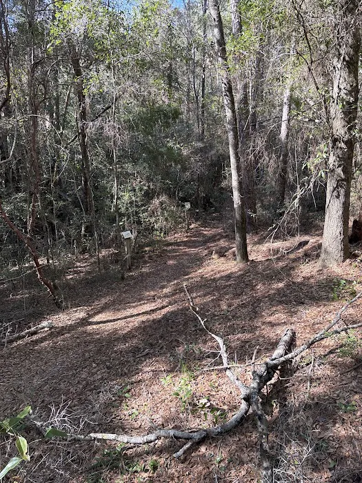 Clear Creek Campground 10