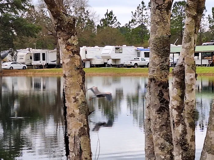 Lake Kristina Camp Grounds 4
