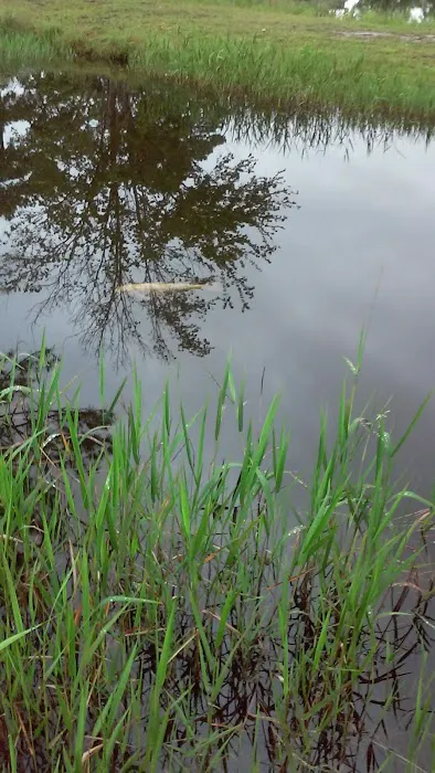 Lake Kristina Camp Grounds 5