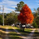 Cedar Lakes RV Park & Campground
