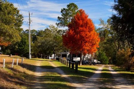 Cedar Lakes RV Park & Campground