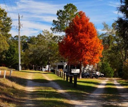 Cedar Lakes RV Park & Campground