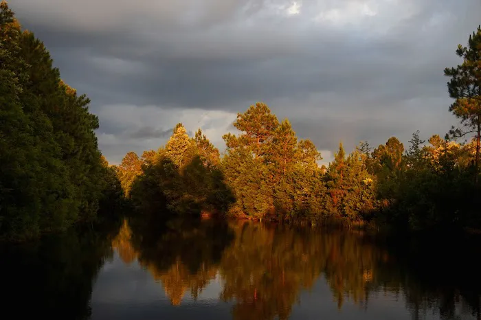 Cedar Lakes RV Park & Campground 2