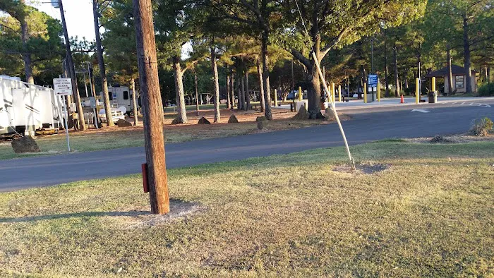 Armadillo Junction RV Park 1