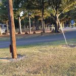Armadillo Junction RV Park