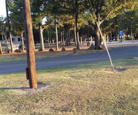 Armadillo Junction RV Park