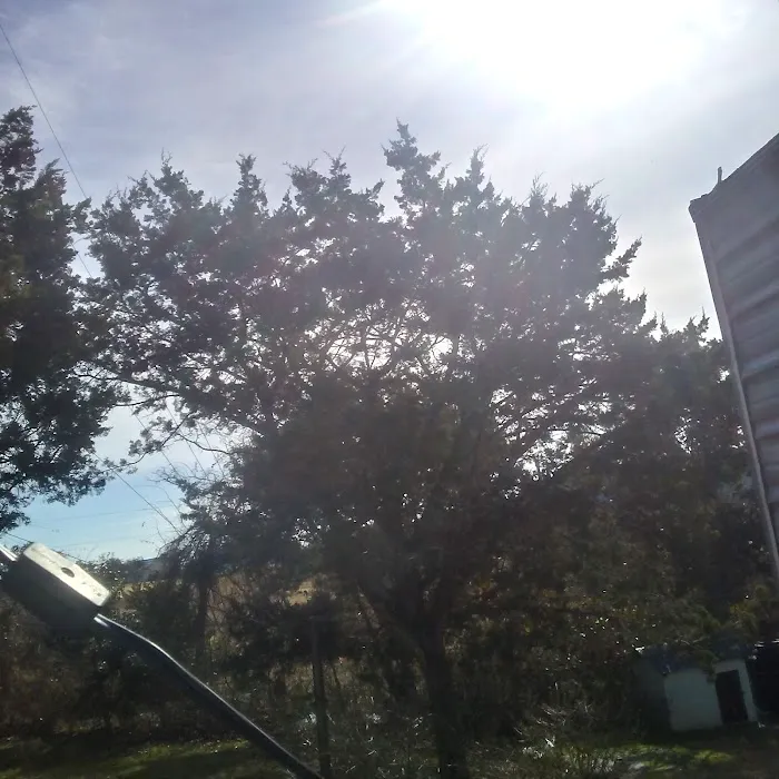 Armadillo Junction RV Park 5
