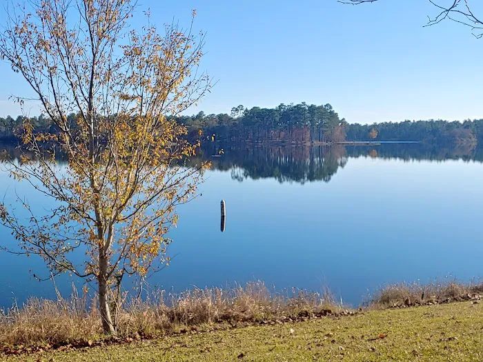 North Hurricane Lake Recreation Area 5