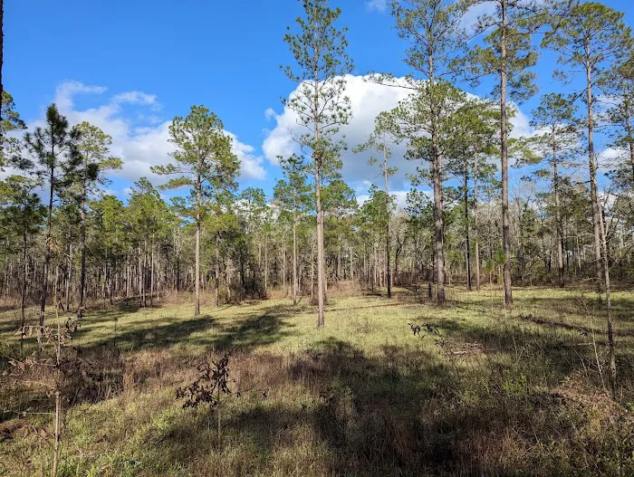 North Hurricane Lake Recreation Area 8