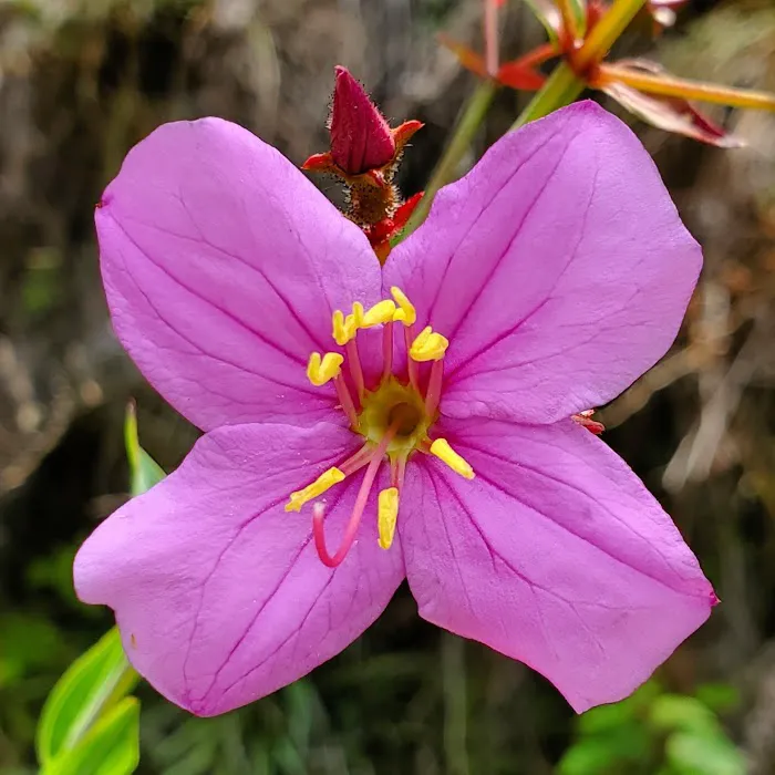 North Hurricane Lake Recreation Area 10
