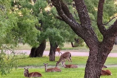 Wildcat RV and Paint Creek MH Parks