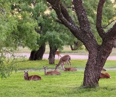 Wildcat RV and Paint Creek MH Parks