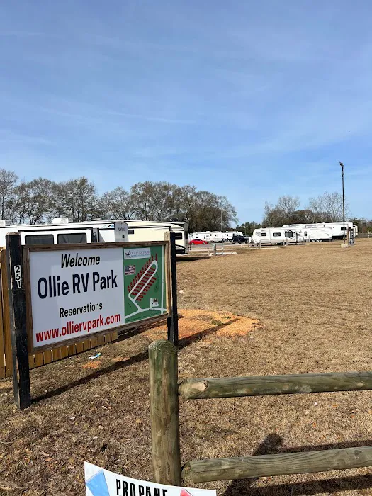 OLLIE RV PARK 5