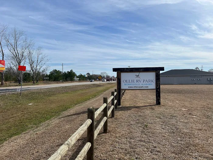OLLIE RV PARK 7