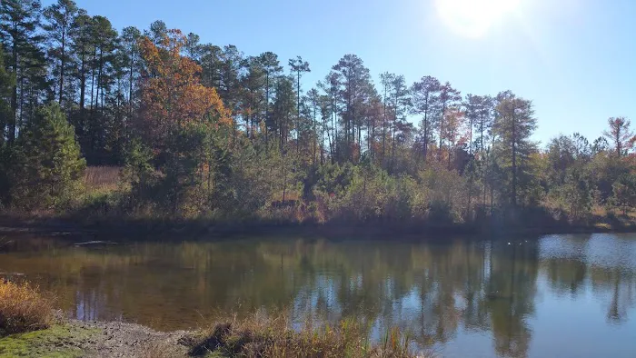 Owassa Lakeside RV 6