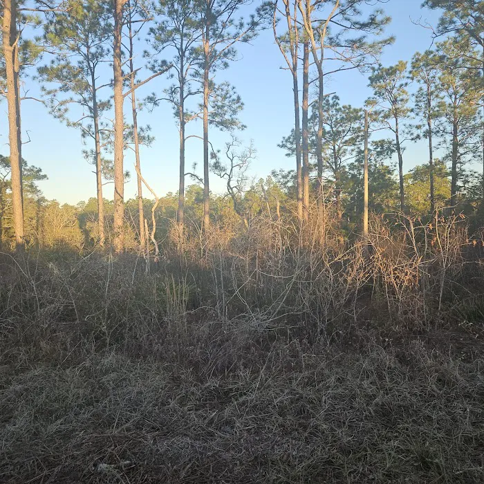 Kepner Campground - Eglin 10