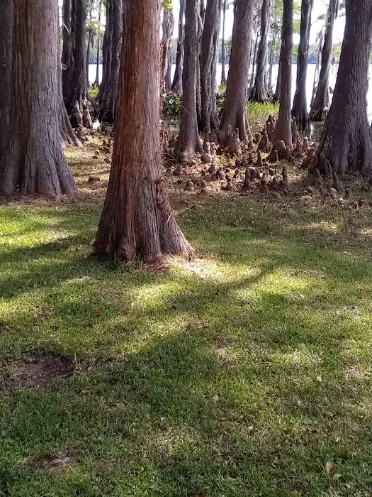 Florala City Park 5