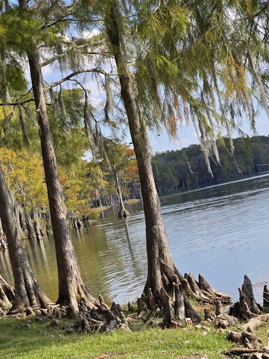 Lake Jackson RV Park 10