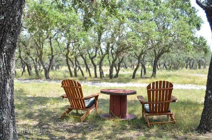 Willow Tree RV Park, LLC 6